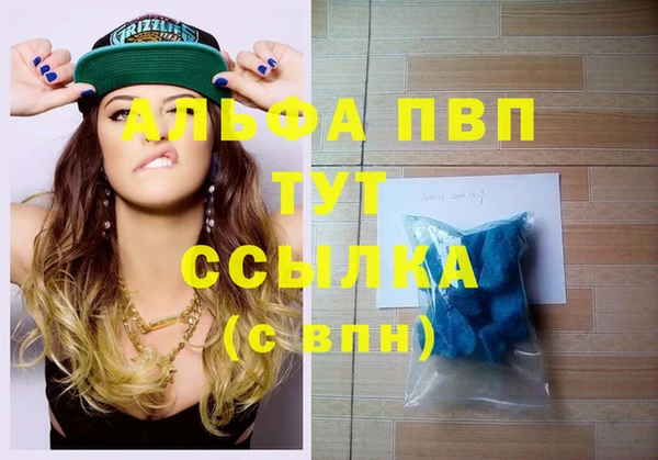 спайс Арсеньев