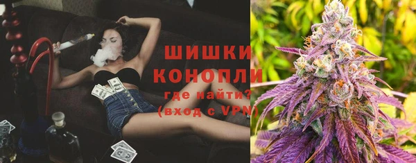 спайс Арсеньев