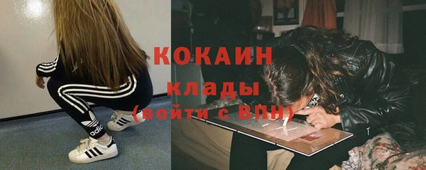 спайс Арсеньев